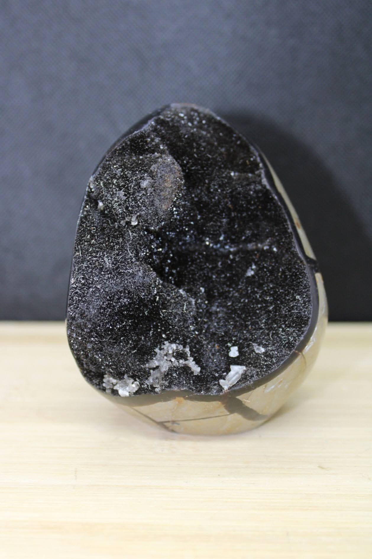 Oeuf Septaria sauvage