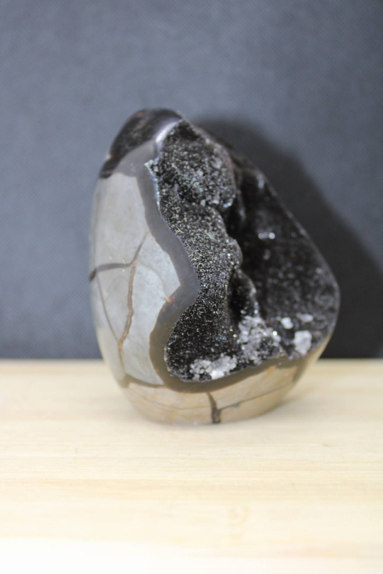 Oeuf Septaria sauvage