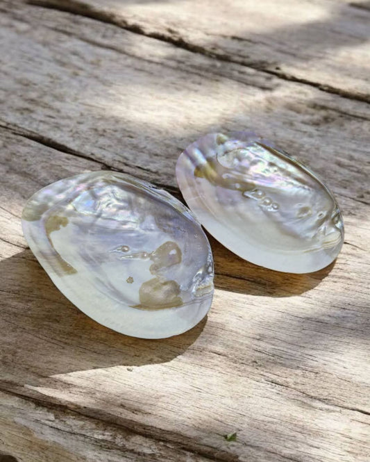 Coquilles de nacre avec perles
