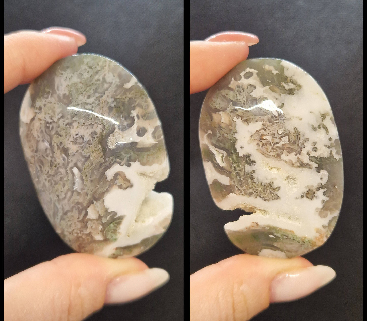 Galet Agate arbre / mousse