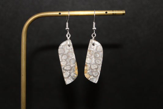 Boucles d'oreilles Corail fossilisé