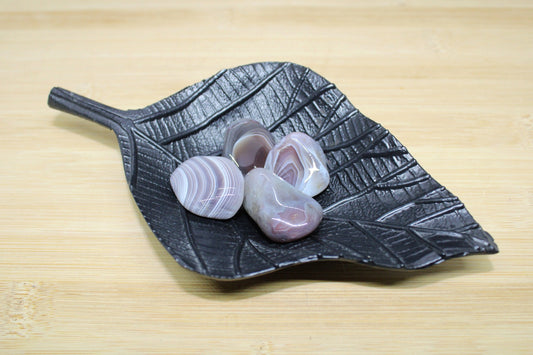 Pierres roulées Agate du Botswana